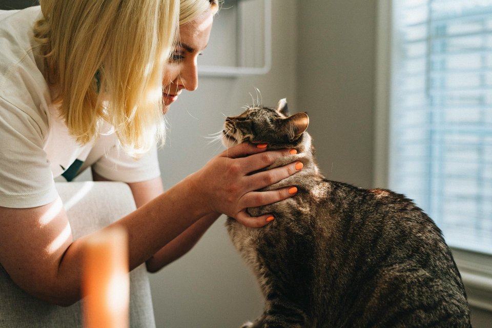 Woman caring for a cat