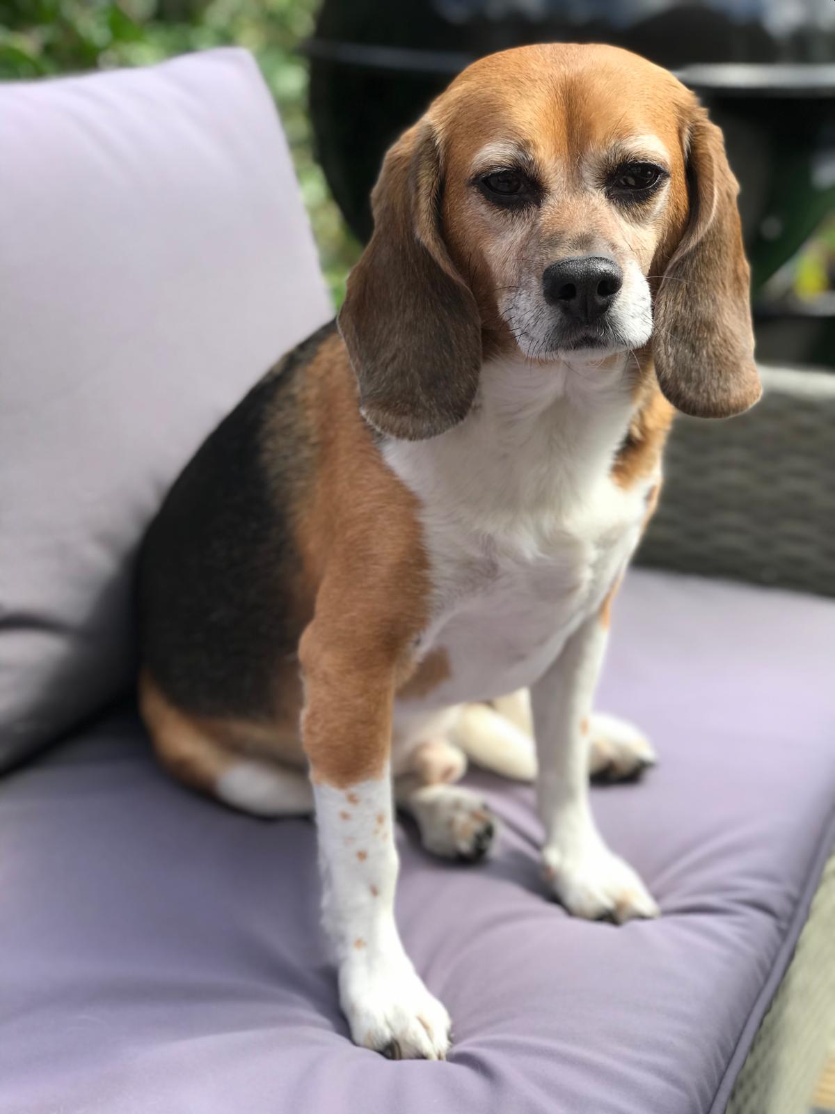 PHOTO-2025-06-23-12-10-56