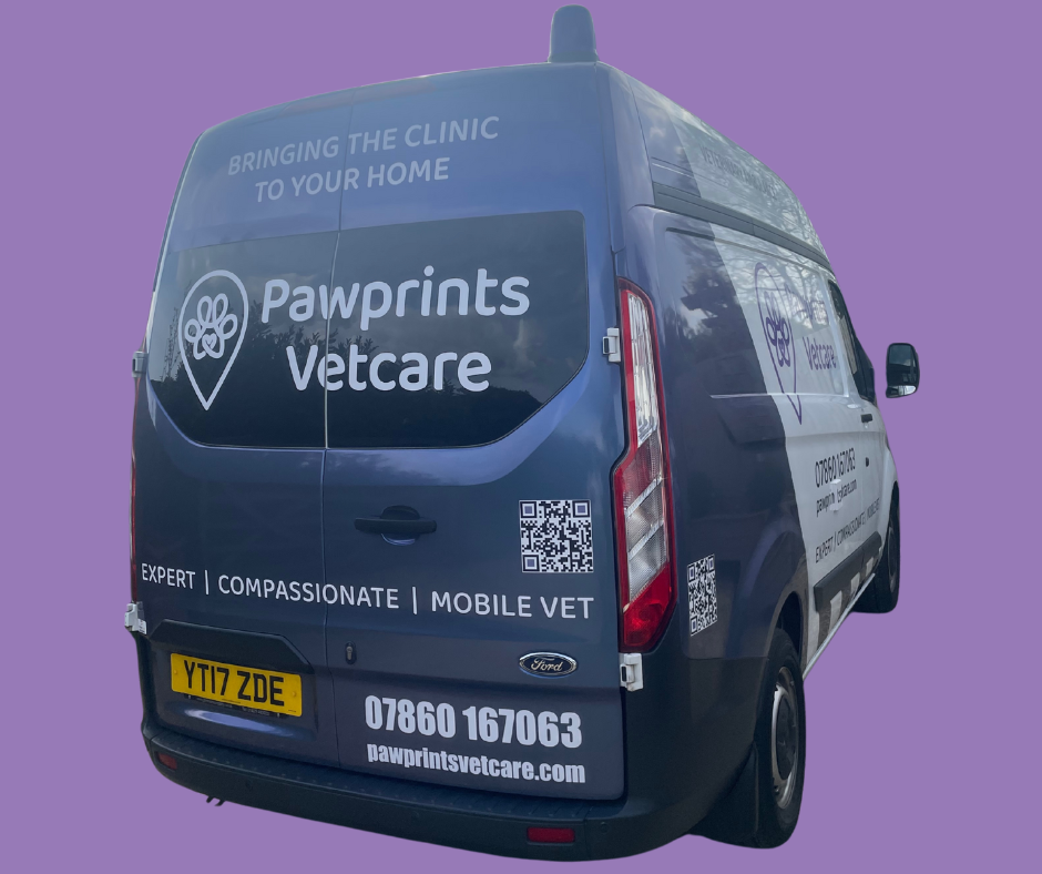 This Violet the Mobile Vet Clinic Van!