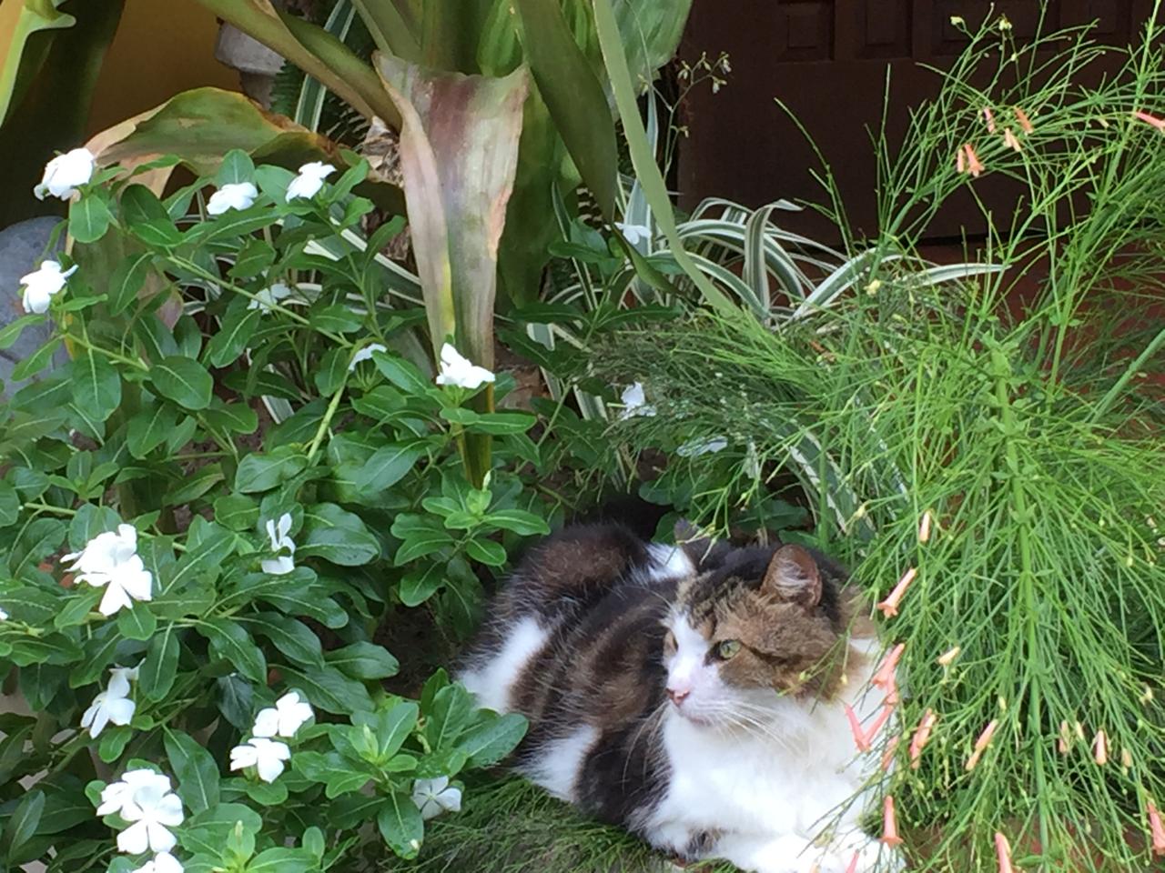 PHOTO-2025-07-30-12-58-23