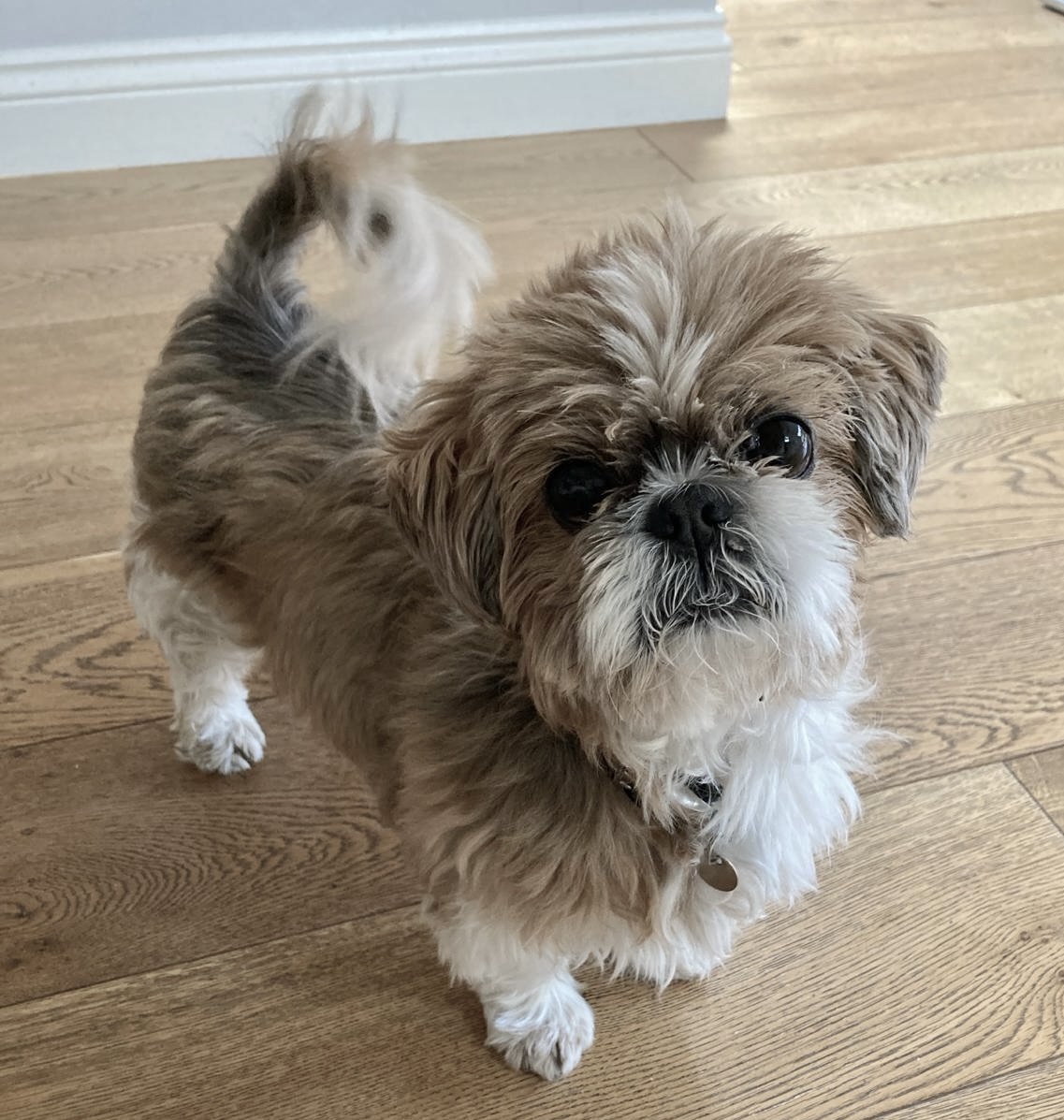 ef443043-59fe-407d-88aa-dcfbdc0c5c78