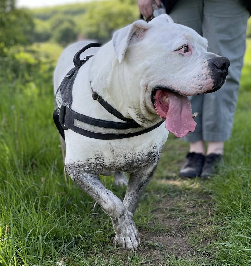 Screenshot 2025-09-19 at 17.34.07