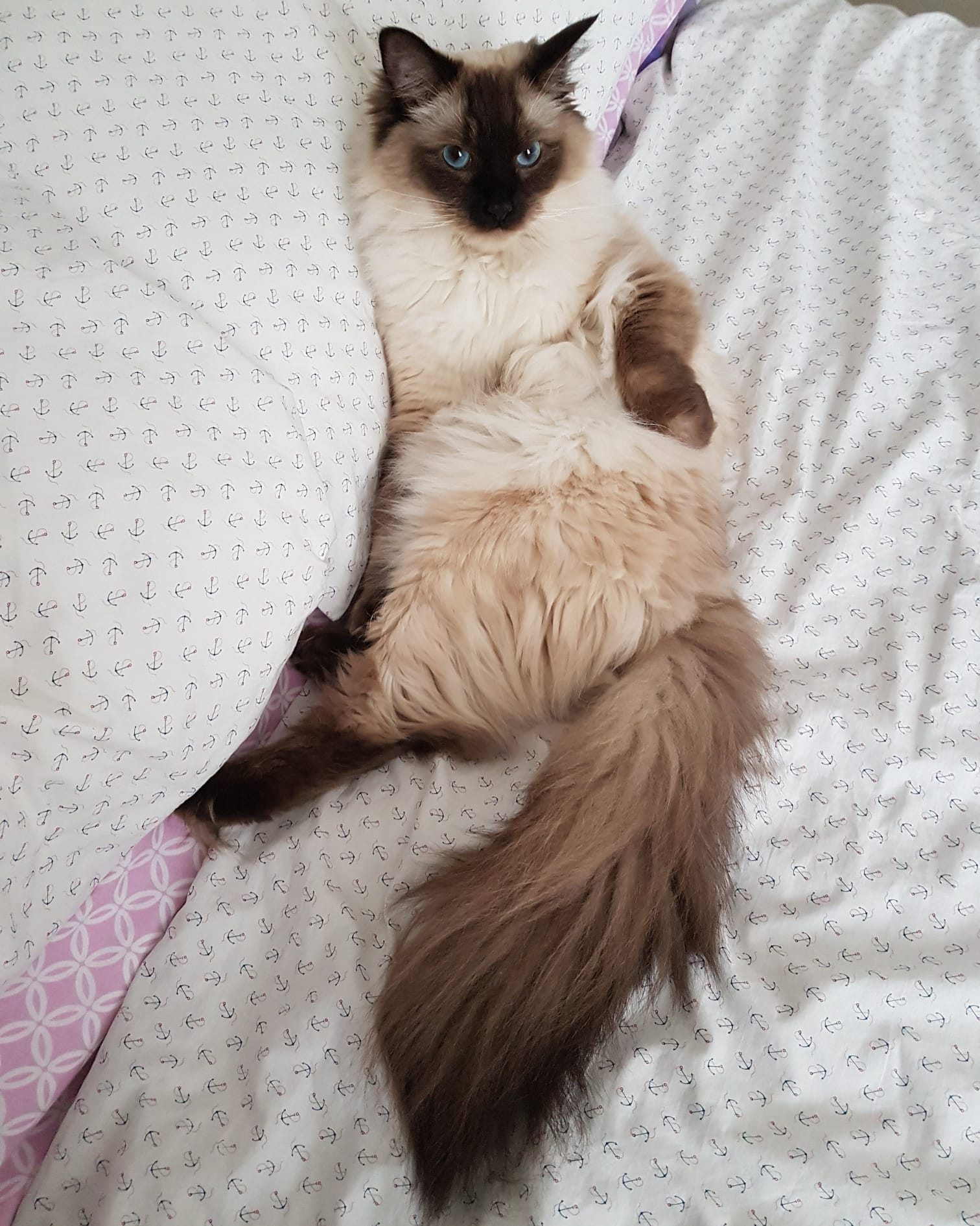 PHOTO-2026-01-28-20-18-19